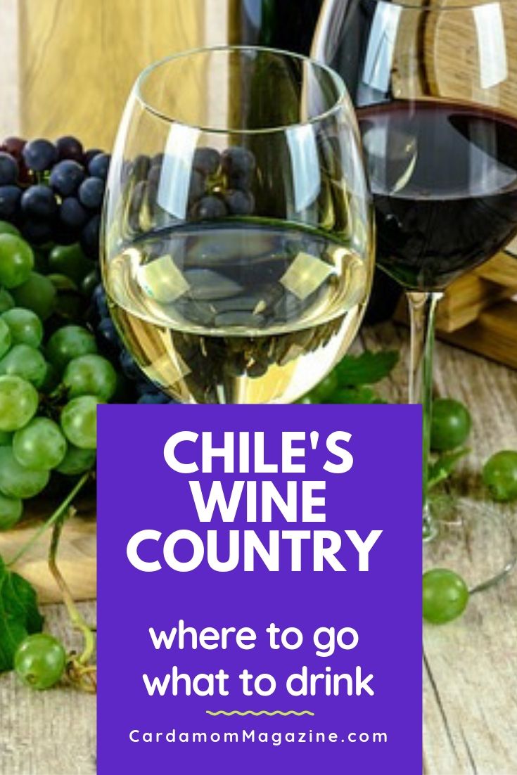 Chile wine country