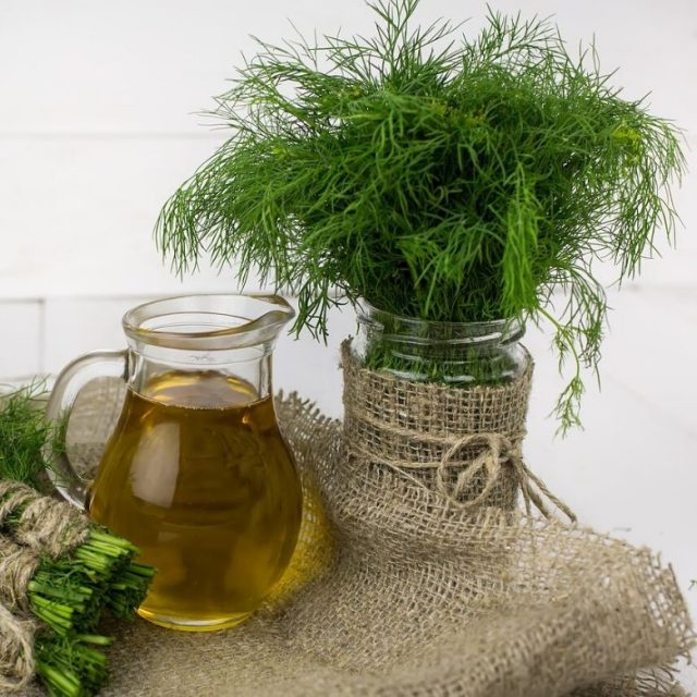 dill and thyme recipes