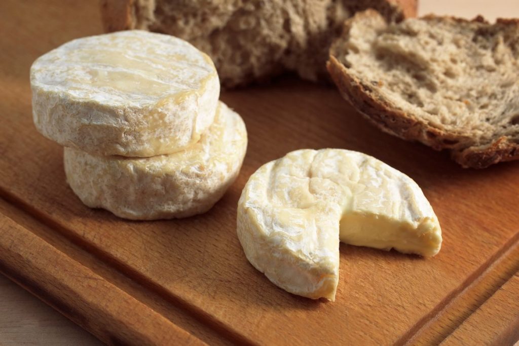 French cheese Saint Marcellin
